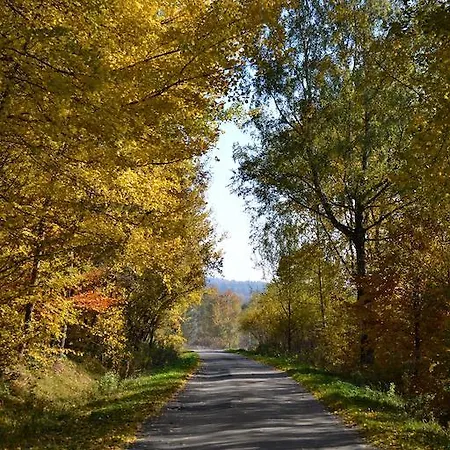 Szpilkowo
