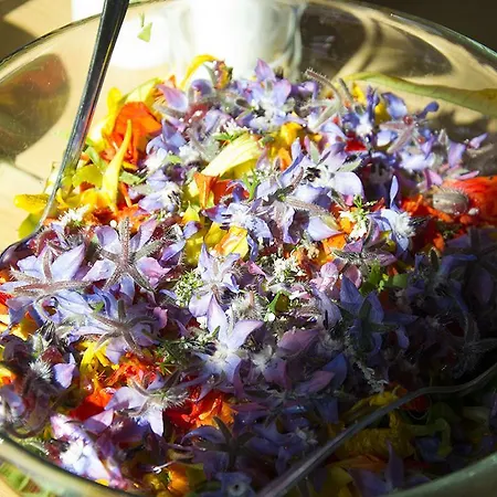 팜스테이 Szpilkowo